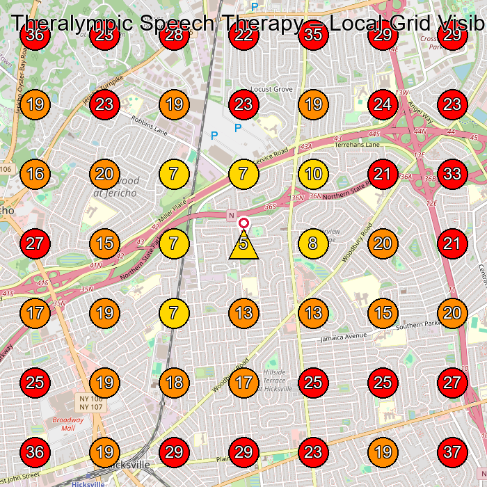 Theralympic Speech Therapy GeoGrid visibility map for Physical Therapist in Hicksville
